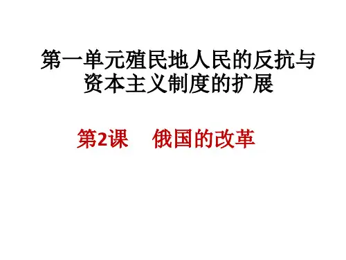 《俄国的改革》课件PPT