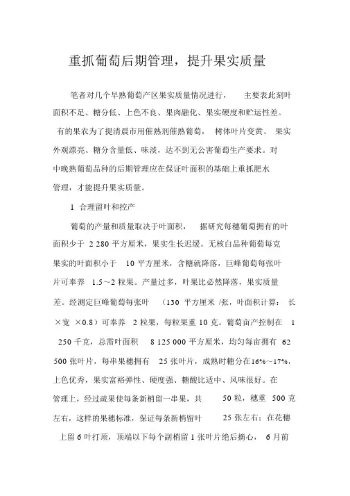 重抓葡萄后期管理,提高果实品质