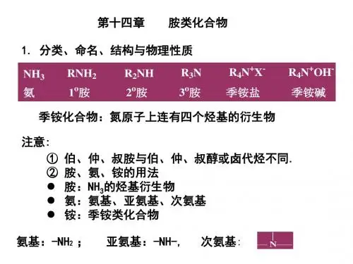 有机化学之胺类化合物