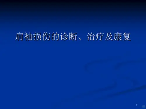 肩袖损伤PPT课件