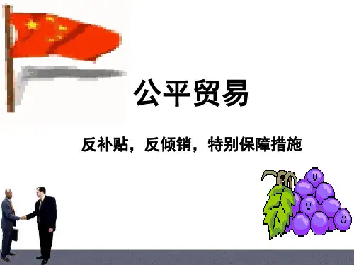 公平贸易_精品文档