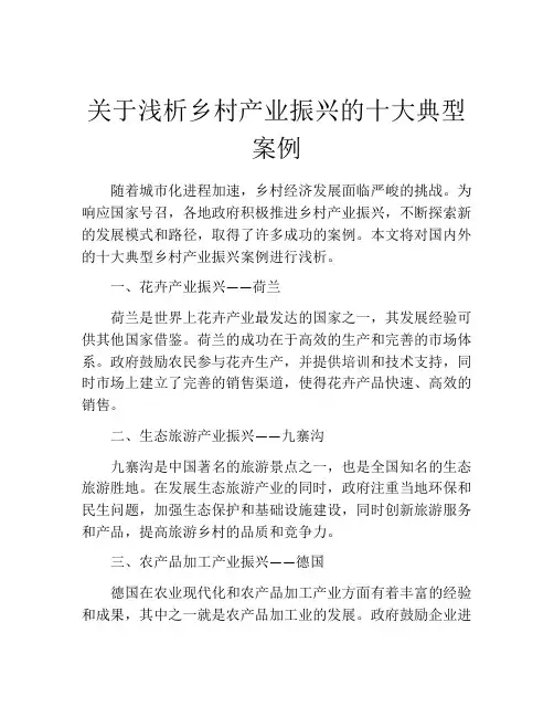 关于浅析乡村产业振兴的十大典型案例