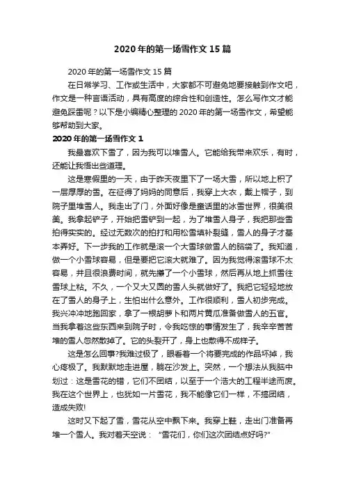 2020年的第一场雪作文15篇
