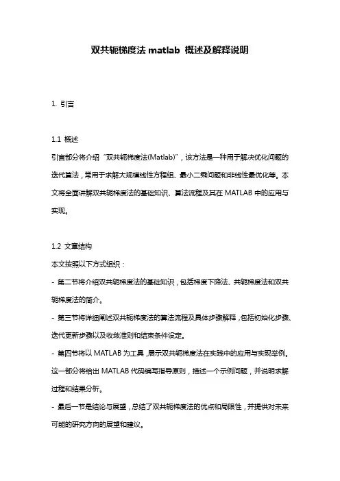 双共轭梯度法matlab_概述及解释说明