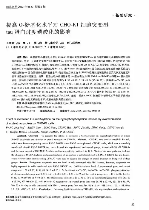 提高O-糖基化水平对CHO—K1细胞突变型tau蛋白过度磷酸化的影响