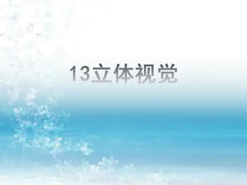 《摄影测量学教程》教学课件—13立体视觉