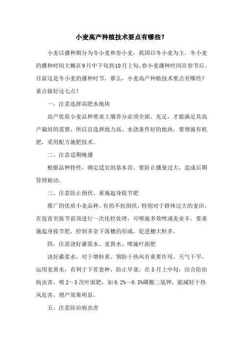 小麦高产种植技术要点有哪些？