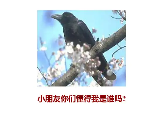 新部编版13乌鸦喝水PPT课件公开课获奖课件百校联赛一等奖课件