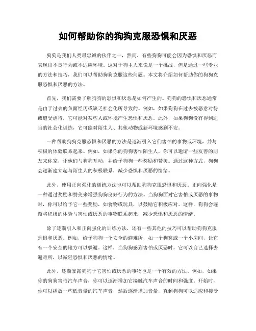 如何帮助你的狗狗克服恐惧和厌恶