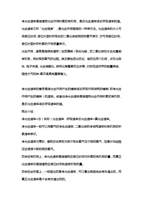 净光合速率和真光合速率的含义