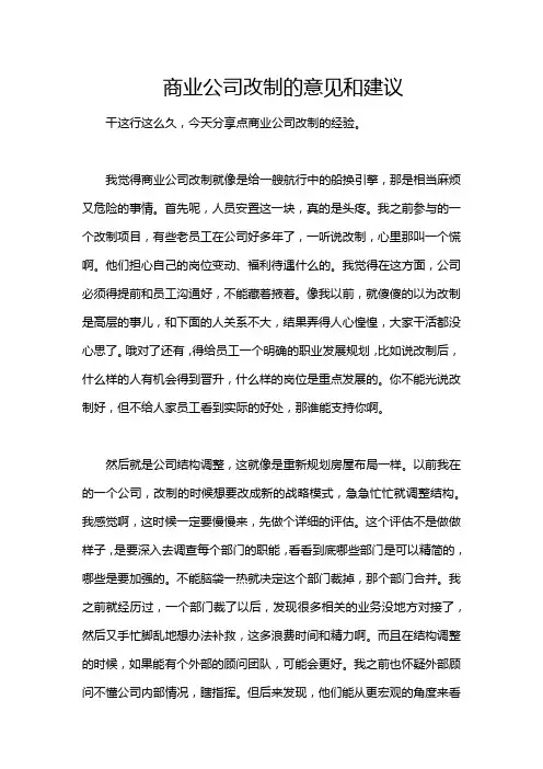 商业公司改制的意见和建议