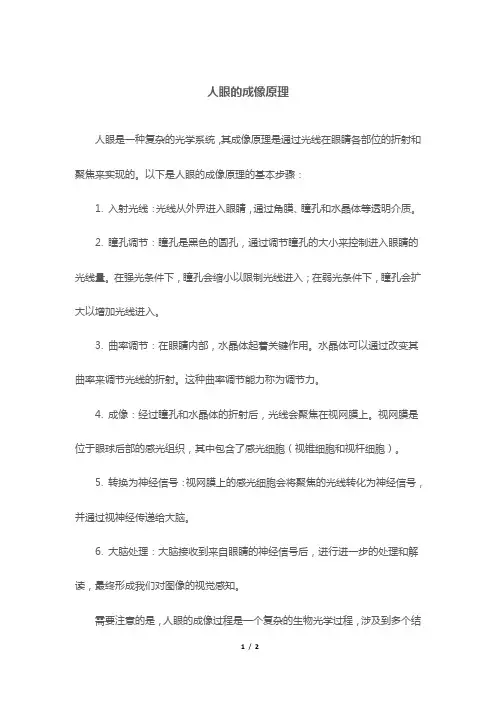 人眼的成像原理