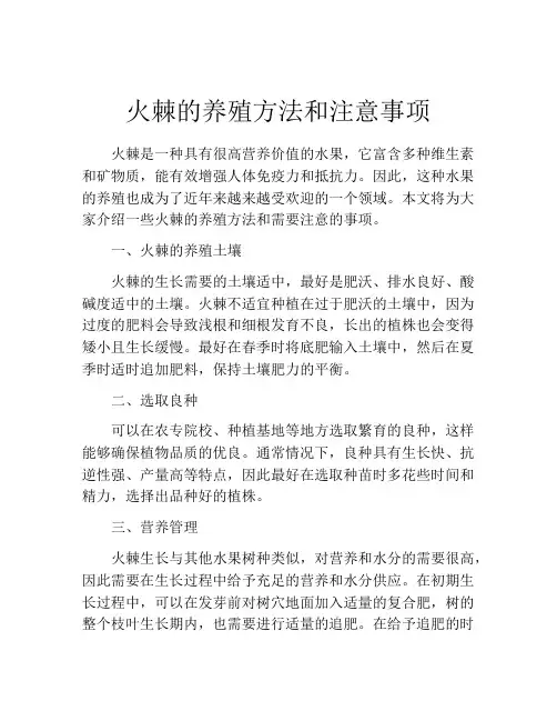 火棘的养殖方法和注意事项