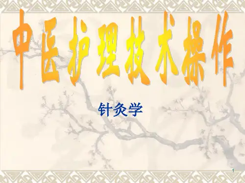 针灸穴位详论ppt课件