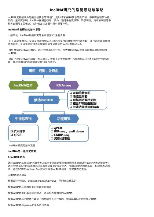 lncRNA研究的常见思路与策略
