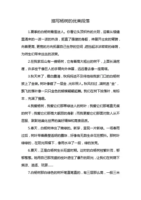 描写杨树的优美段落
