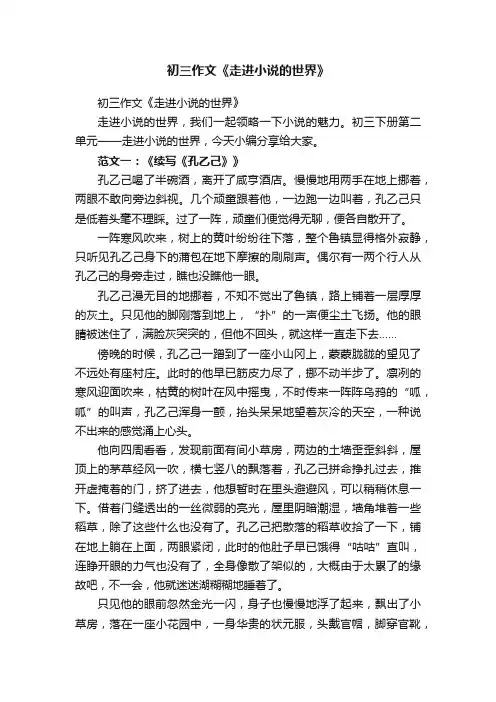 初三作文《走进小说的世界》