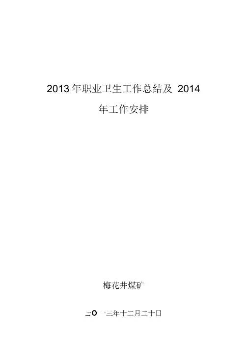 2013年职业健康工作总结