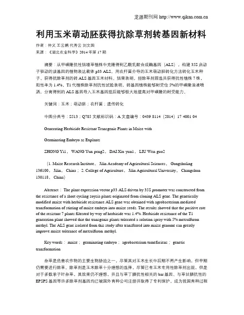 利用玉米萌动胚获得抗除草剂转基因新材料