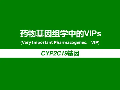 药物基因组学中的VIPs和CYP2C19介绍