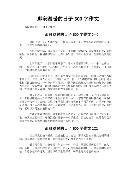 那段温暖的日子600字作文