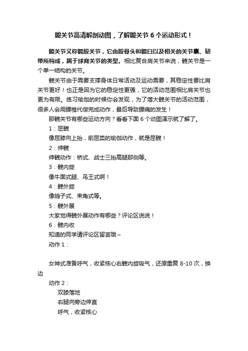 髋关节高清解剖动图，了解髋关节6个运动形式！