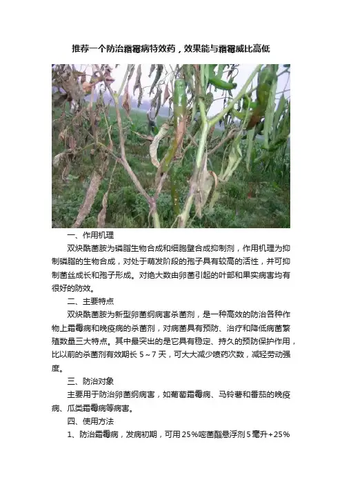 推荐一个防治霜霉病特效药，效果能与霜霉威比高低