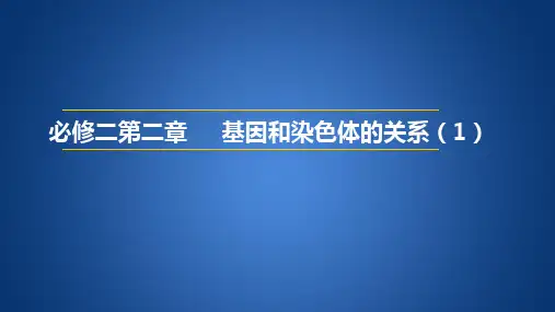 高一生物会考复习课件必修2第二章基因和染色体的关系