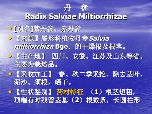 7-27-丹参 实用中药鉴定学课件