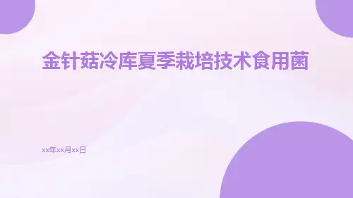 金针菇冷库夏季栽培技术食用菌,栽培技术