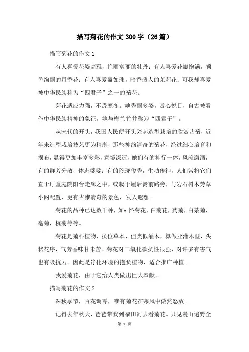 描写菊花的作文300字(26篇)
