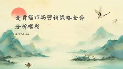 麦肯锡市场营销战略全套分析模型