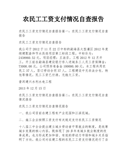 农民工工资支付情况自查报告