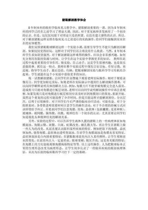 猪眼解剖体会