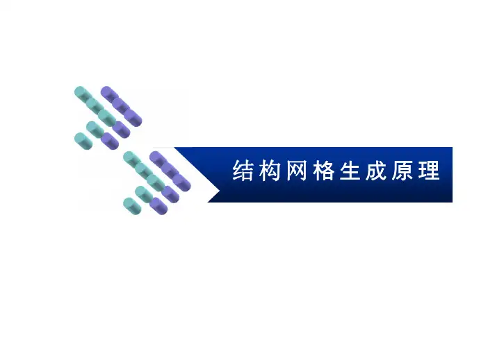 9第九讲 结构网格生成方法