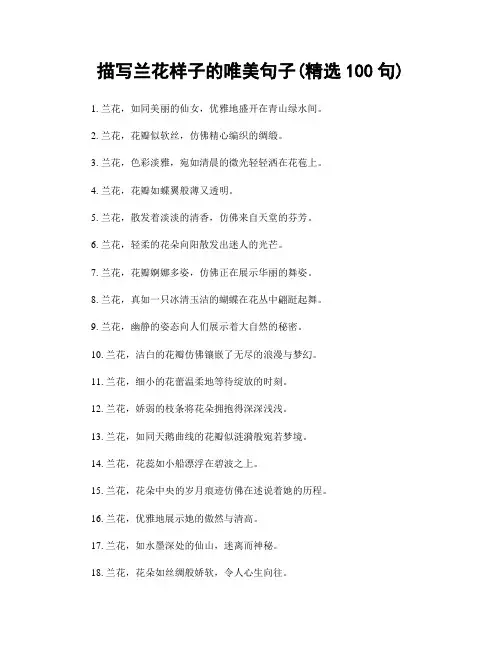 描写兰花样子的唯美句子(精选100句)