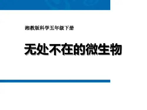 《无处不在的微生物》PPT-模板