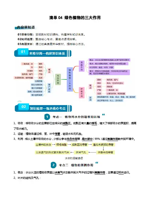 清单04 绿色植物的三大作用(5大考点+5大高频命题点)2024年中考生物一轮复习知识清单