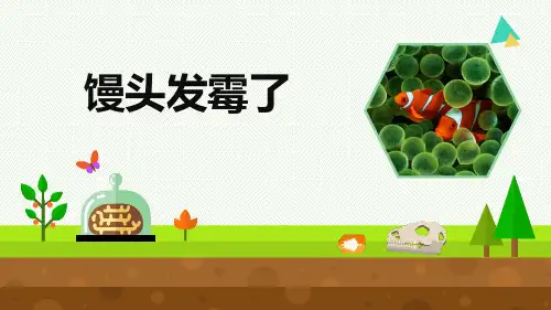 小学科学《馒头发霉了》优质课件