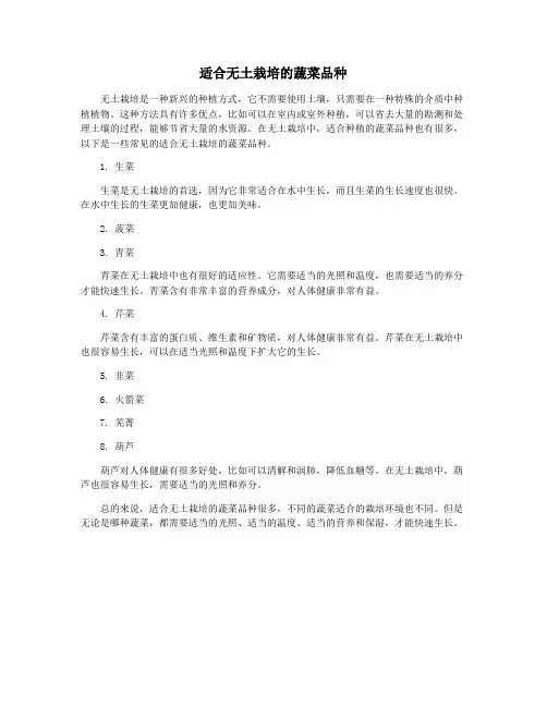 适合无土栽培的蔬菜品种
