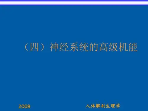 教育的生理学基础神经系统(3) (22)