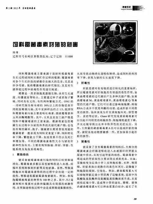 饲料霉菌毒素对猪的危害