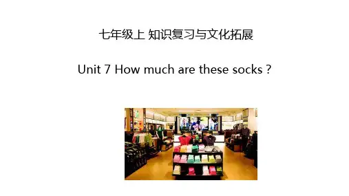 Unit7 How much are these socks？【知识复习】七年级英语上册(人教版)