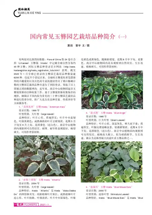 国内常见玉簪园艺栽培品种简介(一)