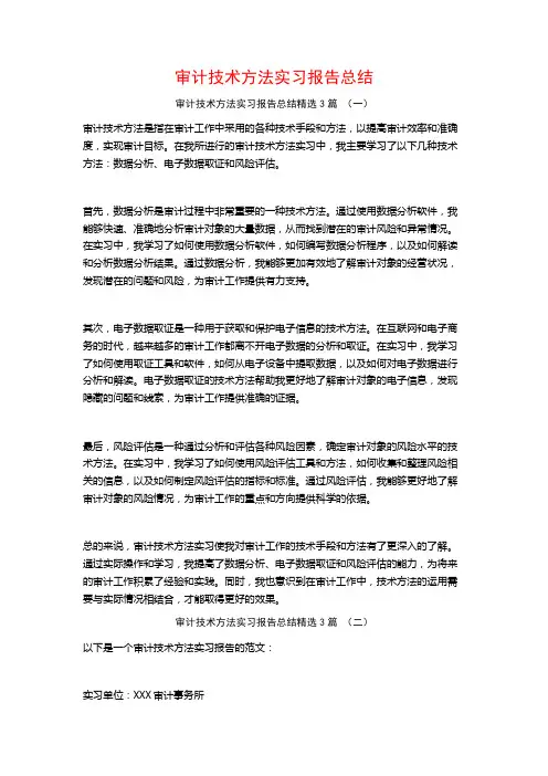 审计技术方法实习报告总结3篇