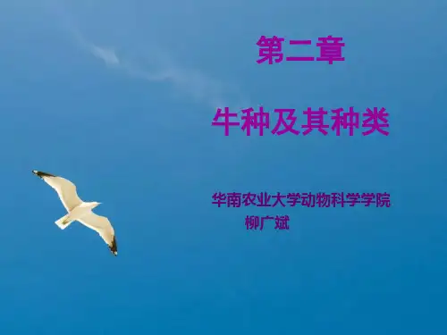 第二章牛种及其品种ppt课件