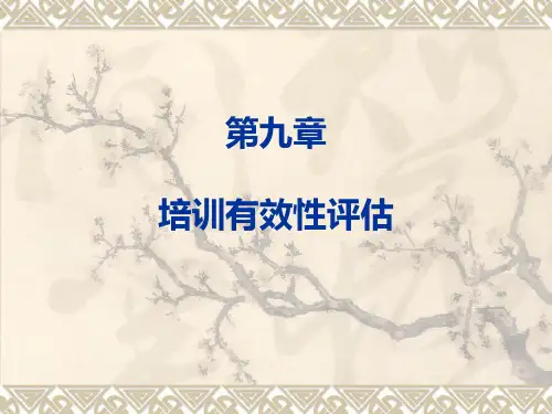 第九章培训有效性评估