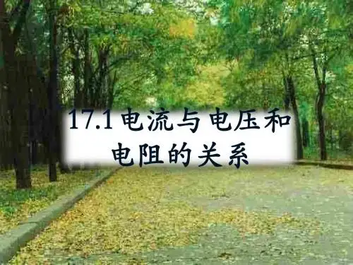 17.1电流与电压和电阻的关系----李