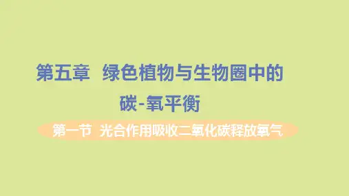 七年级生物上册--光合作用吸收二氧化碳释放氧气教学课件新版新人教版