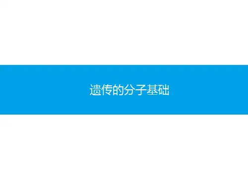 【高中生物-学业水平测试】遗传的分子基础